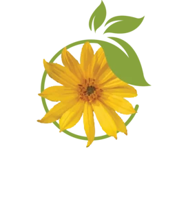 Рязанские просторы — на главную